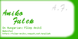 aniko fulep business card
