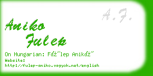 aniko fulep business card